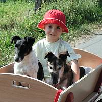 Bild: Enkel mit Hunden im Bollerwagen